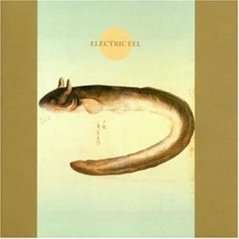 electric on the eel box set|Amazon.com: Electric On The Eel [6 CD]: CDs & Vinyl.